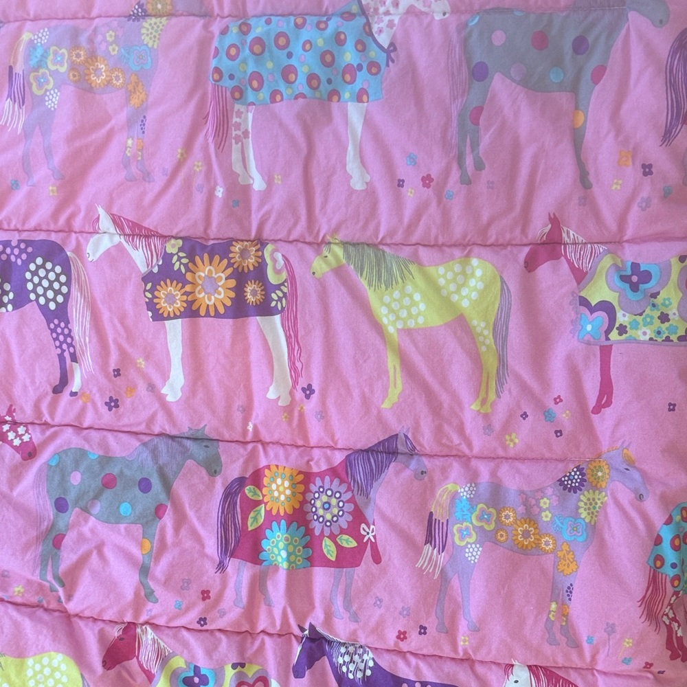 Pink Pony Sleeping bag - Garnet Hill